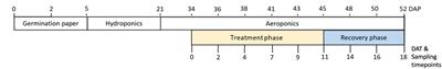 Drought stimulates root exudation of organic nitrogen in cotton (Gossypium hirsutem)